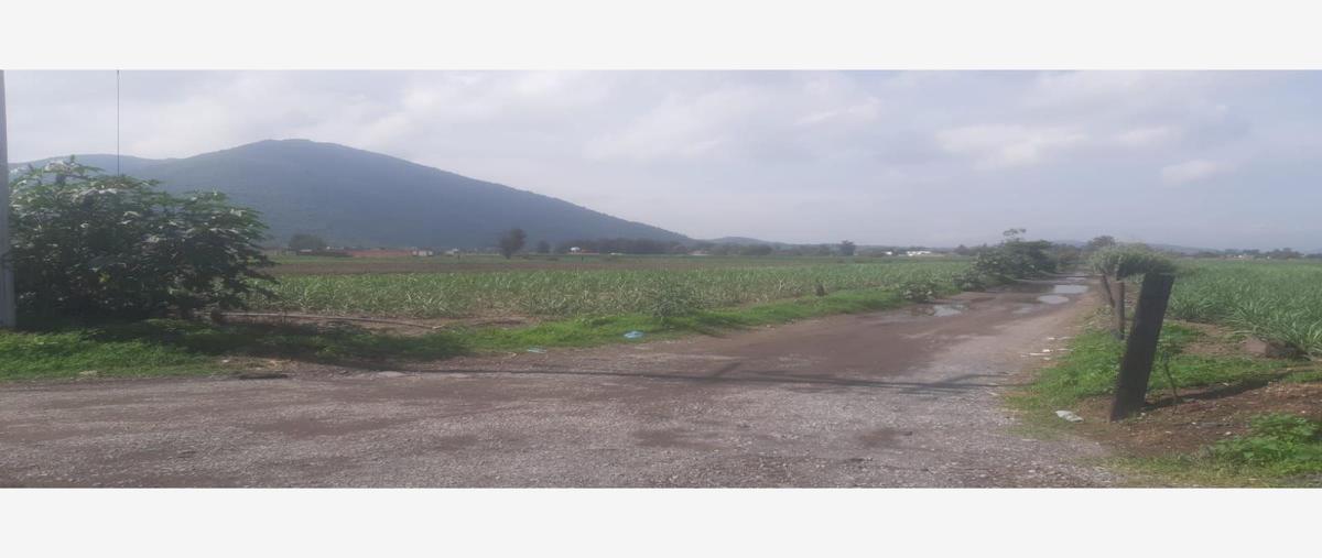 Foto de terreno habitacional en venta en carretera san isidro mazatepec 1, villa corona centro, villa corona, jalisco, 0 No. 03
