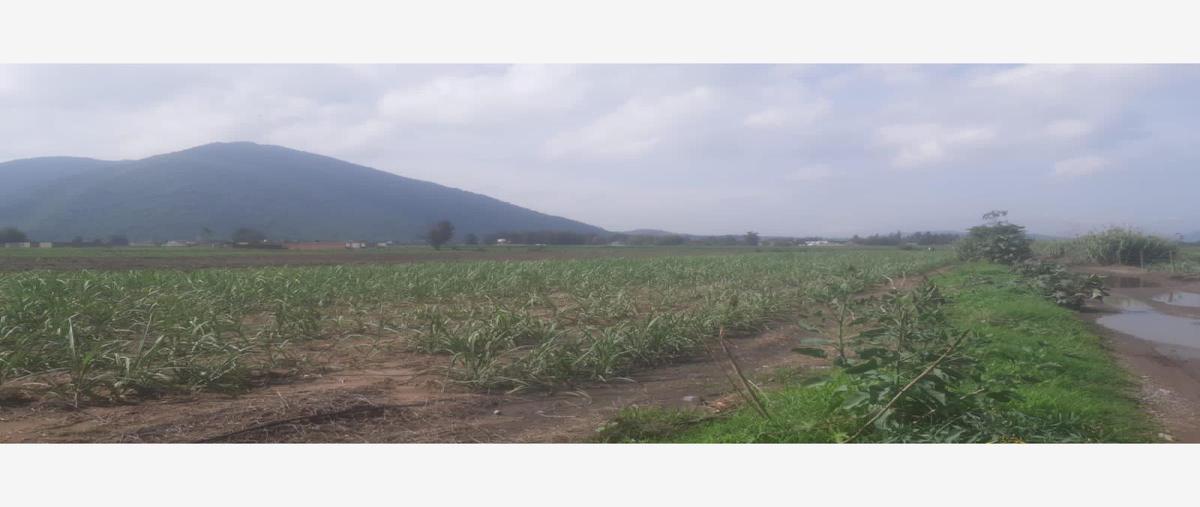 Foto de terreno habitacional en venta en carretera san isidro mazatepec 1, villa corona centro, villa corona, jalisco, 0 No. 04