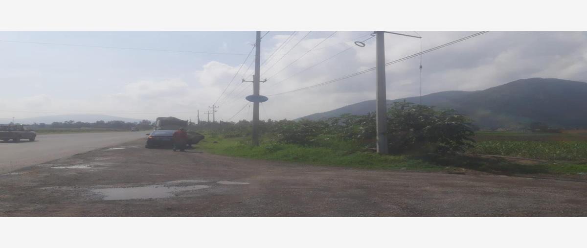 Foto de terreno habitacional en venta en carretera san isidro mazatepec 1, villa corona centro, villa corona, jalisco, 0 No. 05