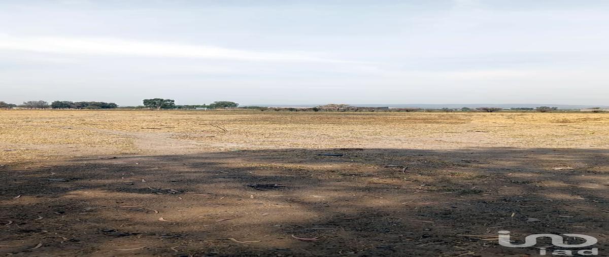 Foto de terreno industrial en venta en carretera san isidro mazatepec 93, san isidro mazatepec, tala, jalisco, 30309625 No. 02