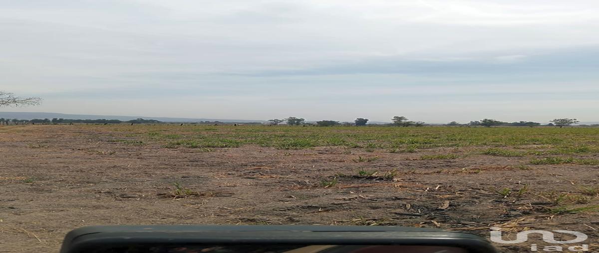 Foto de terreno industrial en venta en carretera san isidro mazatepec 93, san isidro mazatepec, tala, jalisco, 30309625 No. 03