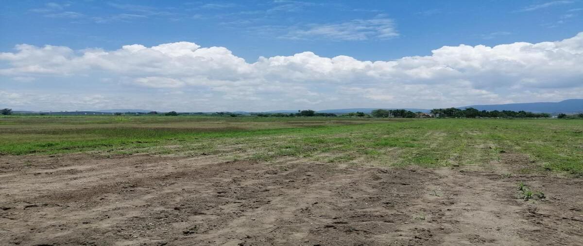 Foto de terreno industrial en venta en carretera san isidro mazatepec kilometro 2.5 , san isidro mazatepec, tala, jalisco, 0 No. 03