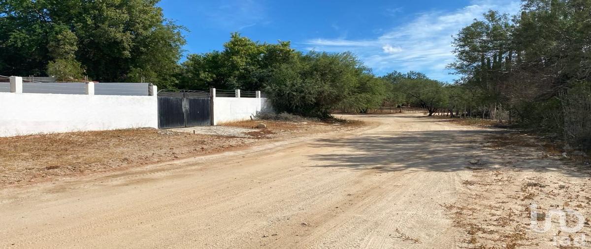 Foto de casa en venta en carretera san juan de los planes - ensenada de muertos , san pedro méxico, la paz, baja california sur, 30790276 No. 05