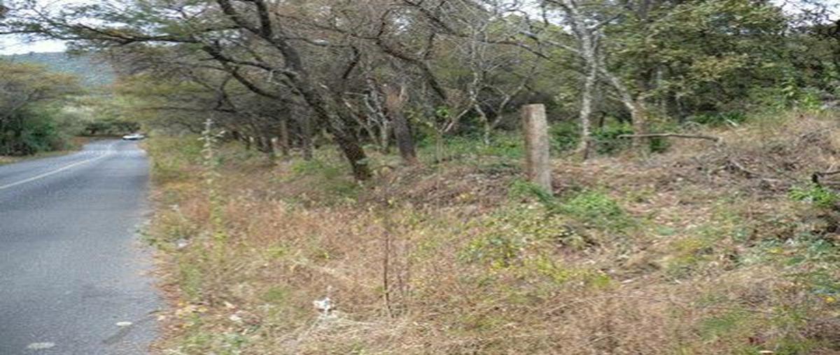 Foto de terreno habitacional en venta en carretera san juan tlacotenco kilometro 35 , san juan tlacotenco, tepoztlán, morelos, 21948025 No. 04