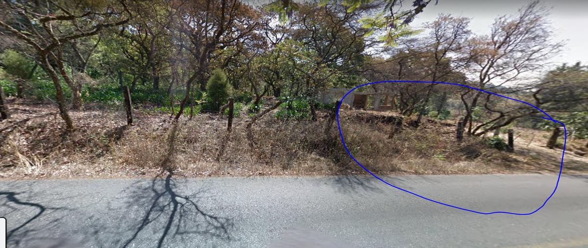 Foto de terreno habitacional en venta en carretera san juan tlacotenco kilometro 35 , san juan tlacotenco, tepoztlán, morelos, 21948025 No. 05