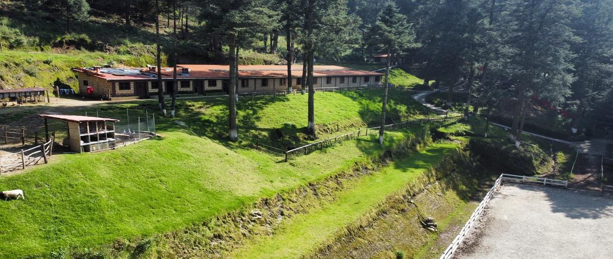 Foto de rancho en venta en carretera san juan yautepec , la cima, huixquilucan, méxico, 0 No. 03