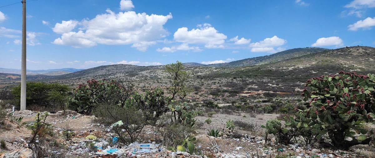 Foto de terreno habitacional en carretera san luis potosí , villa de zaragoza centro, zaragoza, san luis potosí, 29540044 foto 04 Foto de terreno habitacional en venta en carretera san luis potosí , villa de zaragoza centro, zaragoza, san luis potosí, 29540044 No. 04