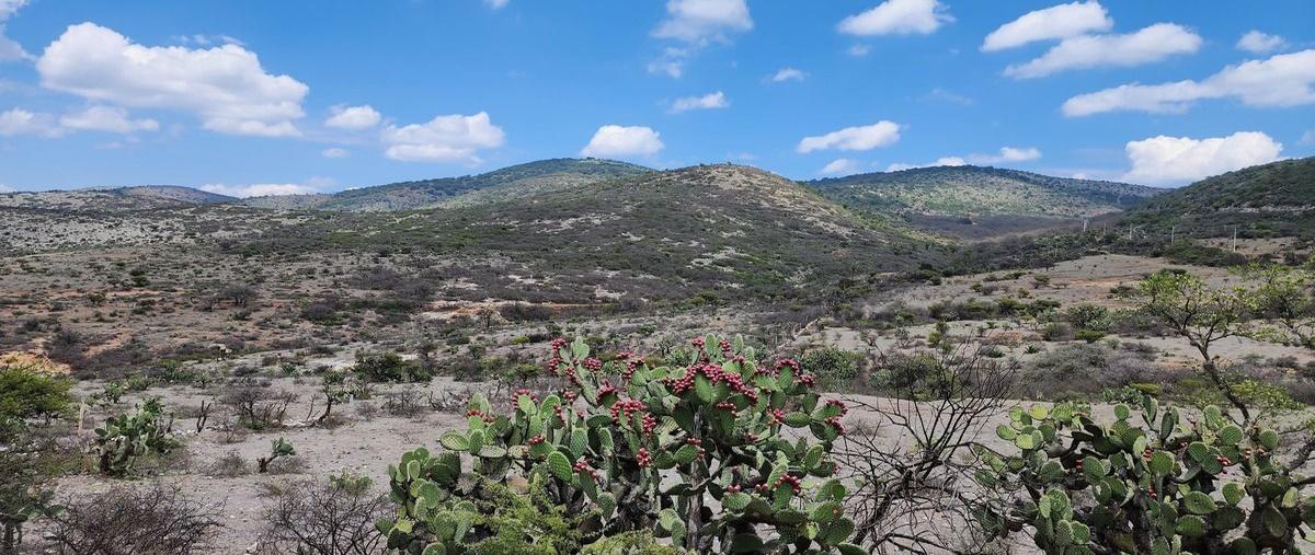 Foto de terreno habitacional en carretera san luis potosí , villa de zaragoza centro, zaragoza, san luis potosí, 29540044 foto 05 Foto de terreno habitacional en venta en carretera san luis potosí , villa de zaragoza centro, zaragoza, san luis potosí, 29540044 No. 05