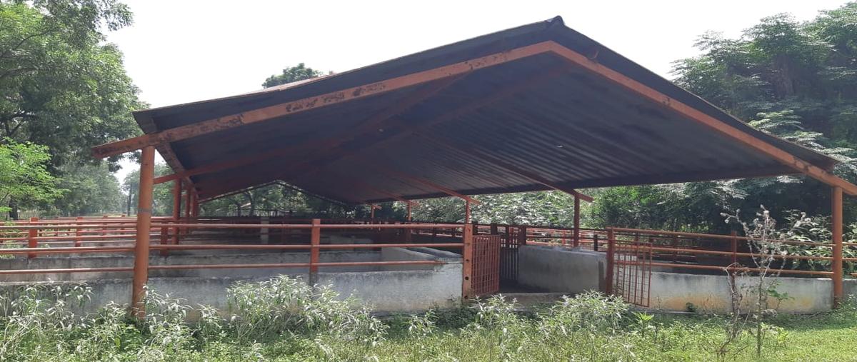 Foto de rancho en carretera san mateo , el castillo, cadereyta jiménez, nuevo león, 0 foto 04 Foto de rancho en venta en carretera san mateo , el castillo, cadereyta jiménez, nuevo león, 0 No. 04