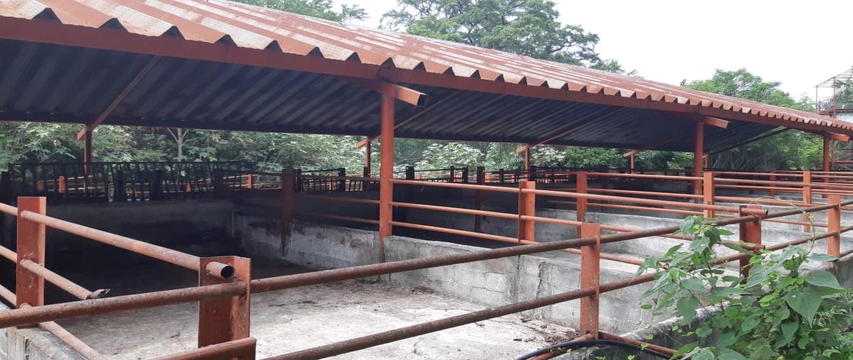 Foto de rancho en carretera san mateo , el castillo, cadereyta jiménez, nuevo león, 0 foto 05 Foto de rancho en venta en carretera san mateo , el castillo, cadereyta jiménez, nuevo león, 0 No. 05