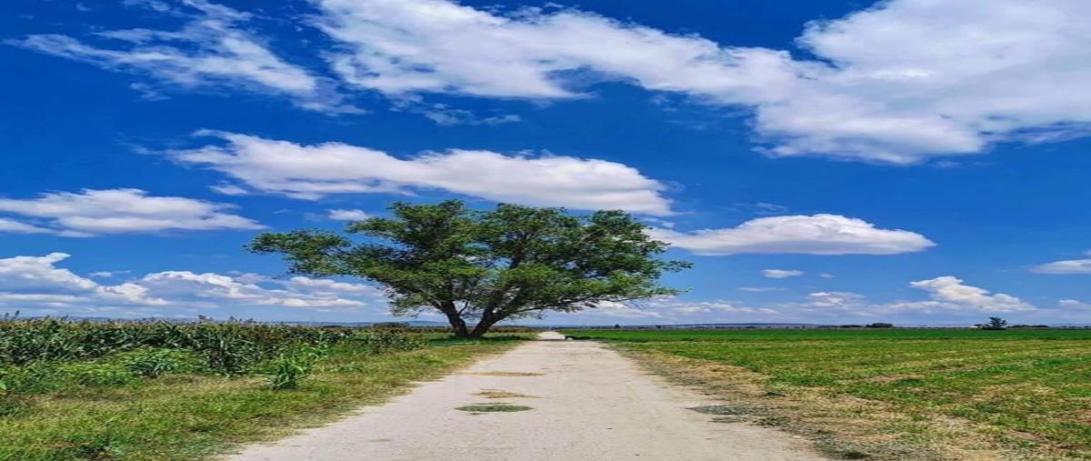 Foto de rancho en carretera san miguel de allende- doctor mora , el salitre, san miguel de allende, guanajuato, 24003761 foto 01 Foto de rancho en venta en carretera san miguel de allende- doctor mora , el salitre, san miguel de allende, guanajuato, 24003761 No. 01