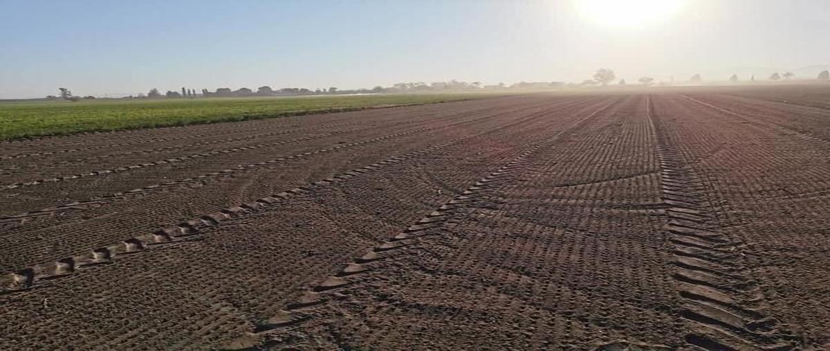 Foto de rancho en carretera san miguel de allende- doctor mora , el salitre, san miguel de allende, guanajuato, 24003761 foto 02 Foto de rancho en venta en carretera san miguel de allende- doctor mora , el salitre, san miguel de allende, guanajuato, 24003761 No. 02