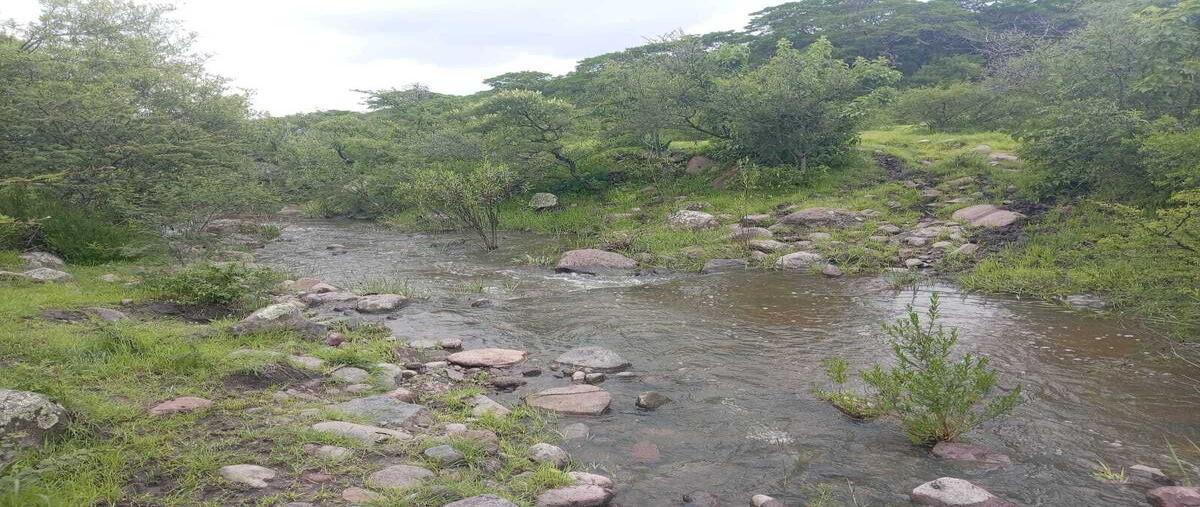 Foto de terreno habitacional en venta en carretera san miguel de allende - jalpa kilometro 12 , lagunilla, san miguel de allende, guanajuato, 30218652 No. 03