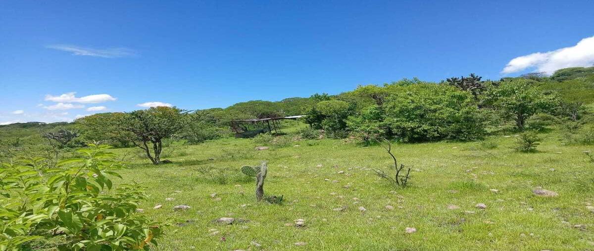 Foto de terreno habitacional en venta en carretera san miguel de allende - jalpa kilometro 12 , lagunilla, san miguel de allende, guanajuato, 30218652 No. 04