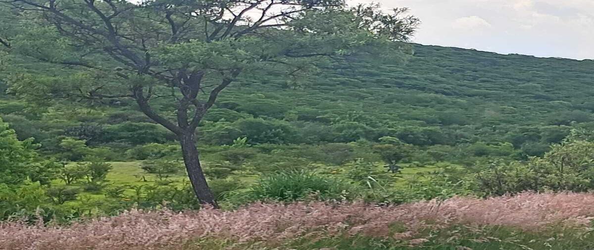 Foto de terreno habitacional en venta en carretera san miguel de allende - jalpa kilometro 12 , lagunilla, san miguel de allende, guanajuato, 30218652 No. 05