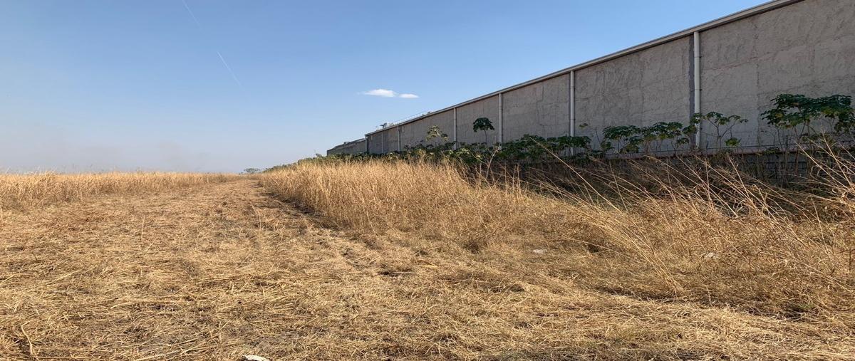 Foto de terreno habitacional en renta en carretera san sebastian , los encinos, tlajomulco de zúñiga, jalisco, 27697382 No. 04
