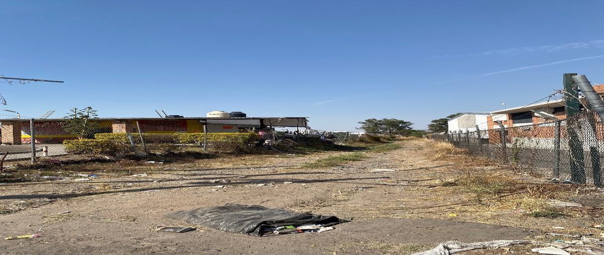 Foto de terreno habitacional en renta en carretera san sebastian , los encinos, tlajomulco de zúñiga, jalisco, 27697382 No. 05