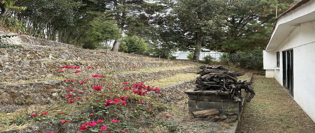 Foto de rancho en carretera santa barbara , nepantla de sor juana inés, tepetlixpa, méxico, 30865085 foto 04 Foto de rancho en venta en carretera santa barbara , nepantla de sor juana inés, tepetlixpa, méxico, 30865085 No. 04