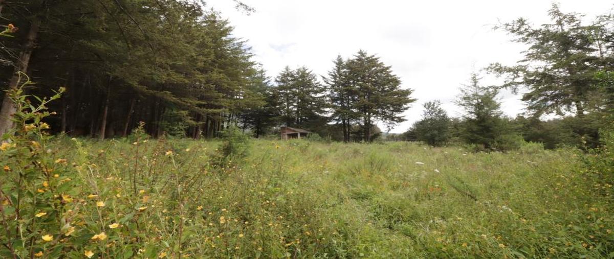 Foto de terreno habitacional en carretera santa clara - zirahuén 0, zirahuen, salvador escalante, michoacán de ocampo, 27263524 foto 03 Foto de terreno habitacional en venta en carretera santa clara - zirahuén 0, zirahuen, salvador escalante, michoacán de ocampo, 27263524 No. 03