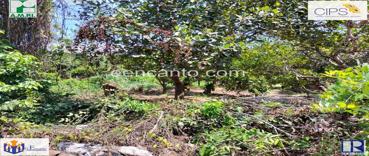 Foto de terreno comercial en venta en carretera , santa cruz de miramar, san blas, nayarit, 0 No. 03