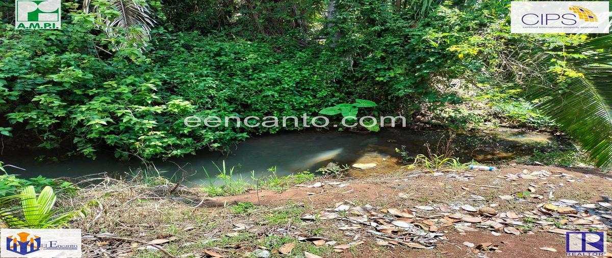 Foto de terreno comercial en venta en carretera , santa cruz de miramar, san blas, nayarit, 0 No. 05