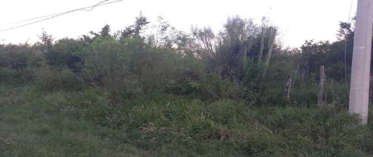 Foto de terreno habitacional en venta en carretera santa marialos ramones , santa maria pesquería, pesquería, nuevo león, 0 No. 05