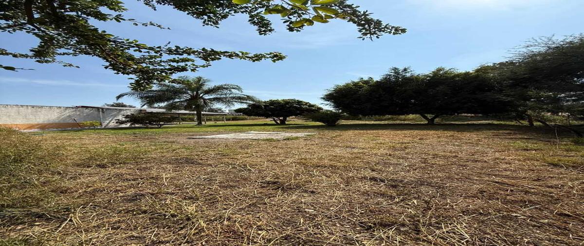 Foto de rancho en venta en carretera santa rosa la barca , ixtlahuacan de los membrillos, ixtlahuacán de los membrillos, jalisco, 30539569 No. 05