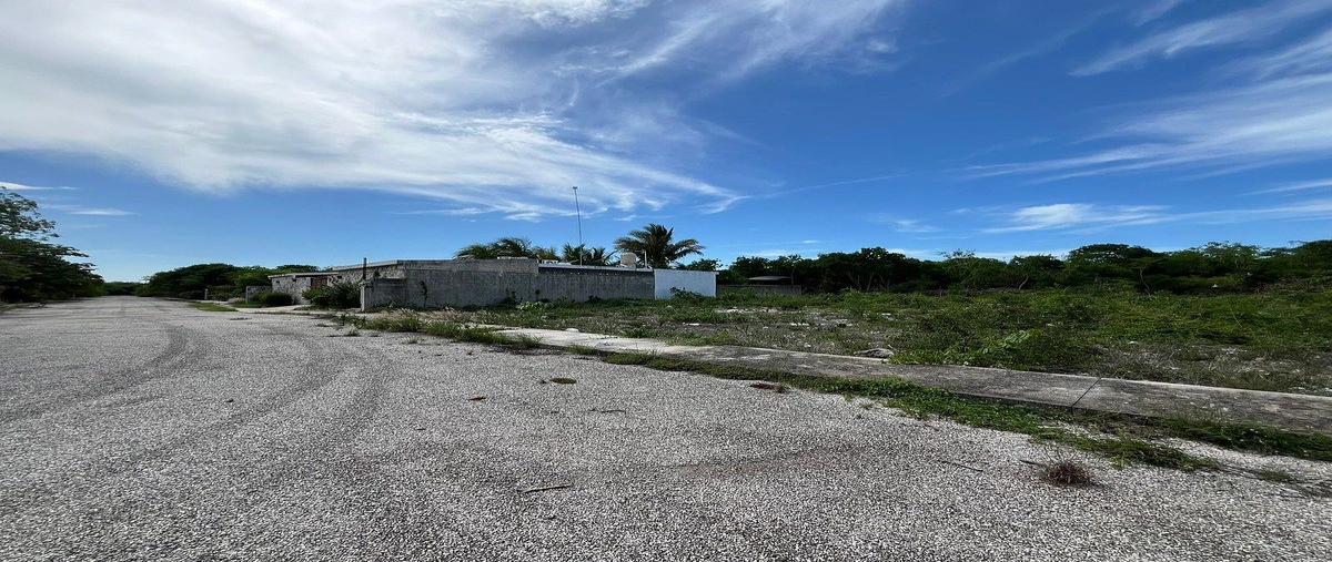 Foto de terreno habitacional en carretera sierra papacal , komchen, mérida, yucatán, 0 foto 04 Foto de terreno habitacional en venta en carretera sierra papacal , komchen, mérida, yucatán, 0 No. 04