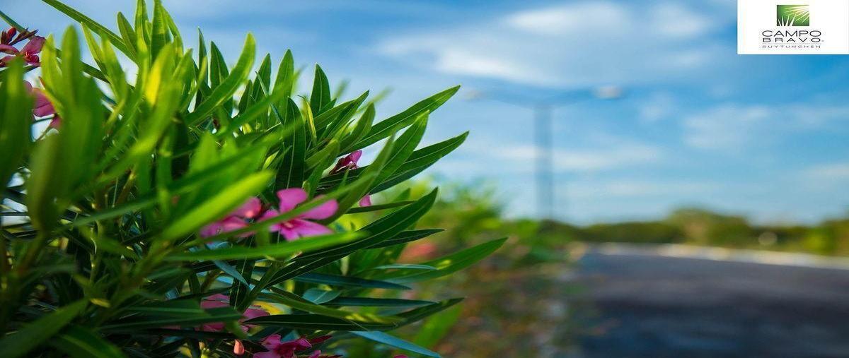 Foto de terreno habitacional en venta en carretera sierra papacal , sierra papacal, mérida, yucatán, 0 No. 06