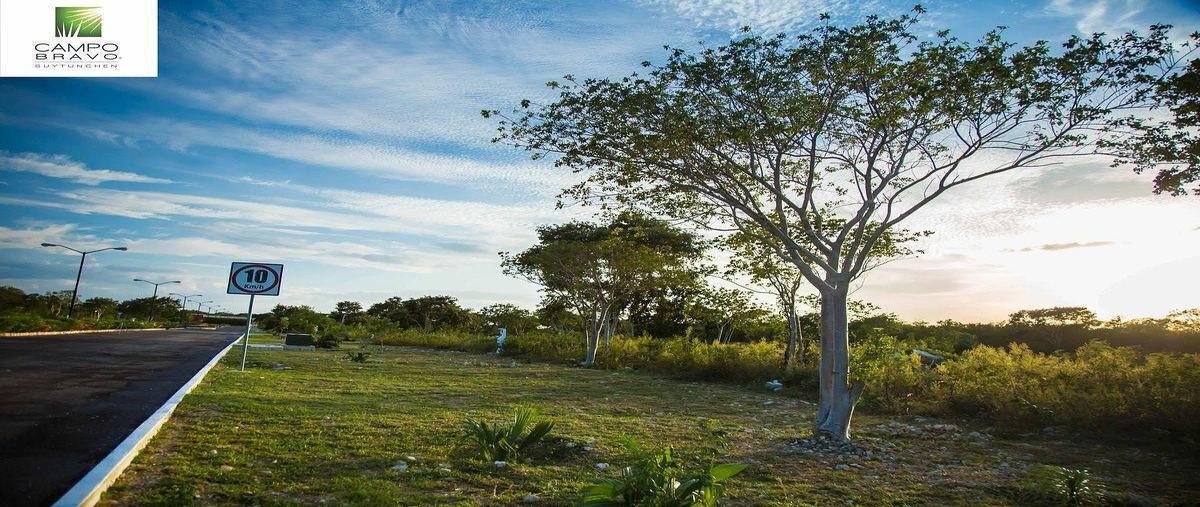 Foto de terreno habitacional en venta en carretera sierra papacal , sierra papacal, mérida, yucatán, 0 No. 07