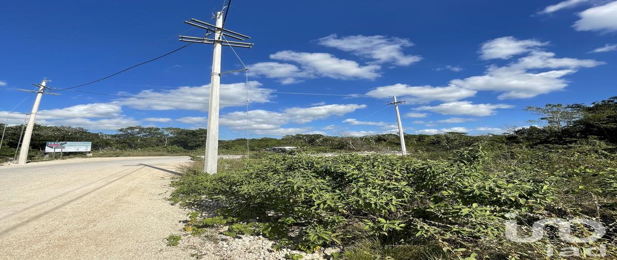 Foto de terreno habitacional en venta en carretera sierra papapcal , papagayos, hunucmá, yucatán, 28723378 No. 03