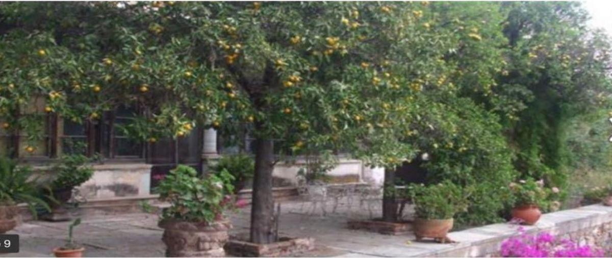 Foto de rancho en venta en carretera silao , santa teresa, guanajuato, guanajuato, 0 No. 03