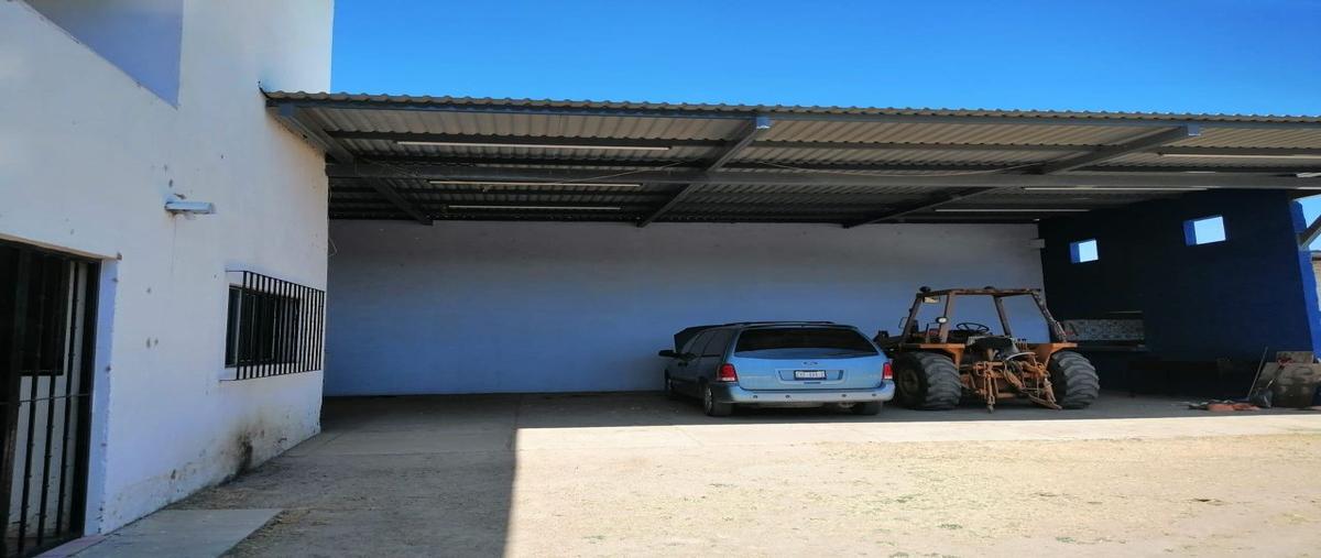 Foto de rancho en venta en carretera silao - trejo , san josé de gracia, silao de la victoria, guanajuato, 25484517 No. 04