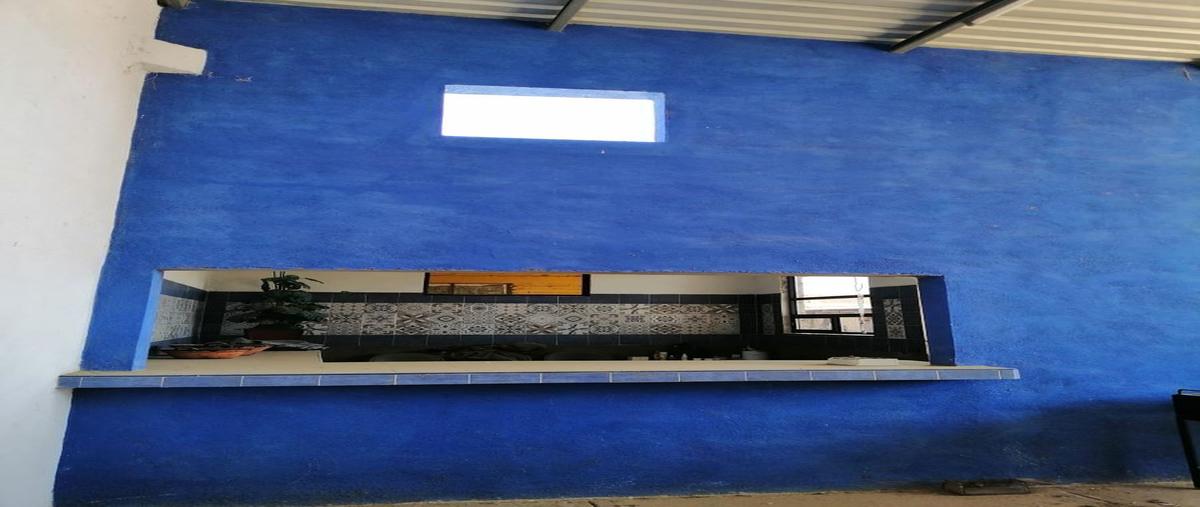 Foto de rancho en venta en carretera silao - trejo , san josé de gracia, silao de la victoria, guanajuato, 25484517 No. 05