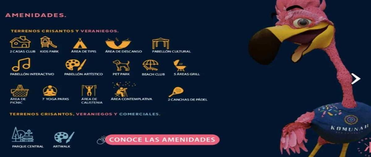 Foto de terreno habitacional en venta en carretera sinanche crisanto , dzilam de bravo, dzilam de bravo, yucatán, 0 No. 05