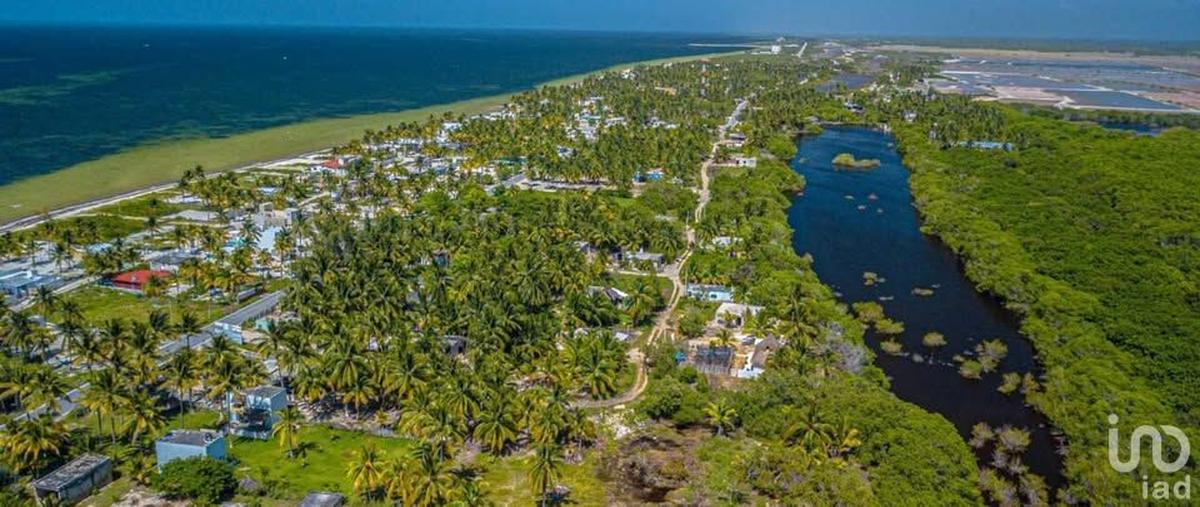 Foto de terreno habitacional en carretera sinanche - xitibcanul 289, san crisanto, sinanché, yucatán, 30328168 foto 01 Foto de terreno habitacional en venta en carretera sinanche - xitibcanul 289, san crisanto, sinanché, yucatán, 30328168 No. 01