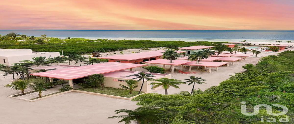 Foto de terreno habitacional en carretera sinanche - xitibcanul 289, san crisanto, sinanché, yucatán, 30328168 foto 02 Foto de terreno habitacional en venta en carretera sinanche - xitibcanul 289, san crisanto, sinanché, yucatán, 30328168 No. 02