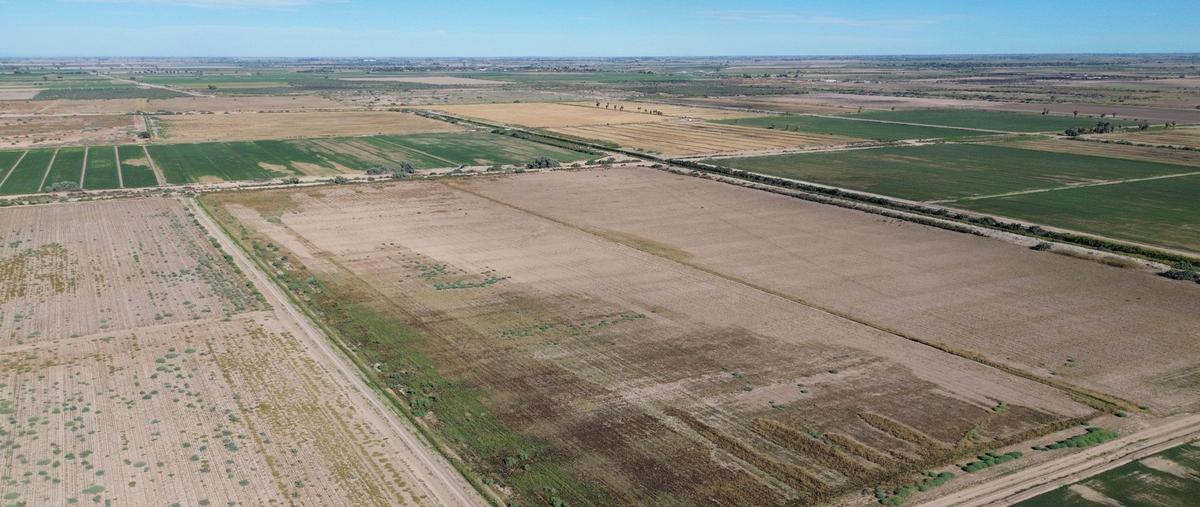 Foto de terreno industrial en venta en carretera sonoita mexicali , venustiano carranza (estación coahuila km. 57), mexicali, baja california, 0 No. 03