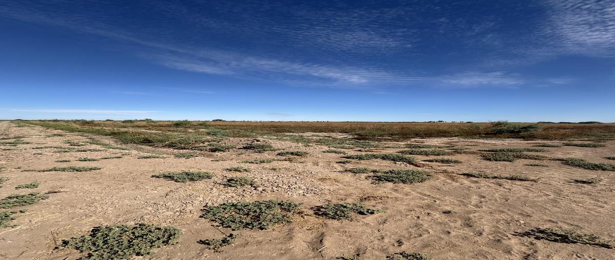 Foto de terreno industrial en venta en carretera sonoita mexicali , venustiano carranza (estación coahuila km. 57), mexicali, baja california, 0 No. 04