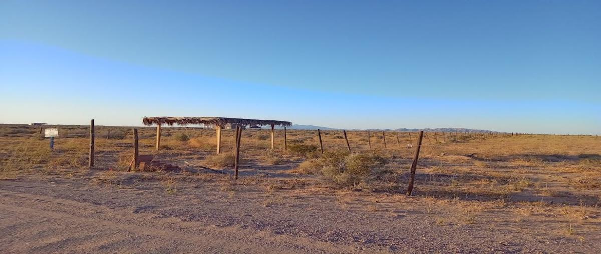 Foto de terreno habitacional en venta en carretera sonoyta - puerto peñasco kilometro 82, ejido la lágrima, puerto peñasco, sonora, 0 No. 01
