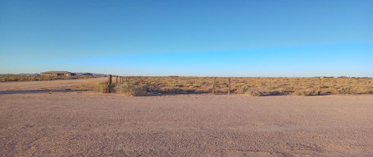 Foto de terreno habitacional en venta en carretera sonoyta - puerto peñasco kilometro 82, ejido la lágrima, puerto peñasco, sonora, 0 No. 02