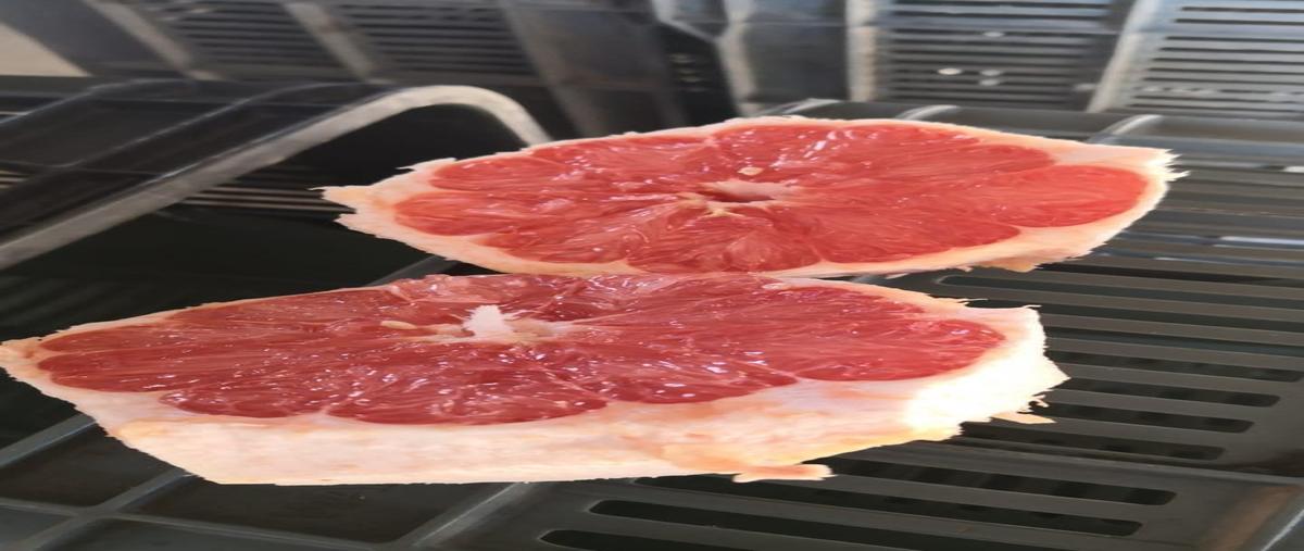 Foto de rancho en venta en carretera tabasco villanueva kilómetro 199 zacatecas , linda vista, tabasco, zacatecas, 0 No. 03