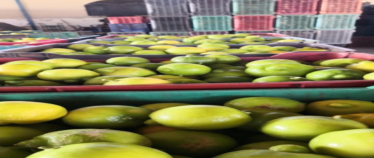 Foto de rancho en venta en carretera tabasco villanueva kilómetro 199 zacatecas , linda vista, tabasco, zacatecas, 29108194 No. 05