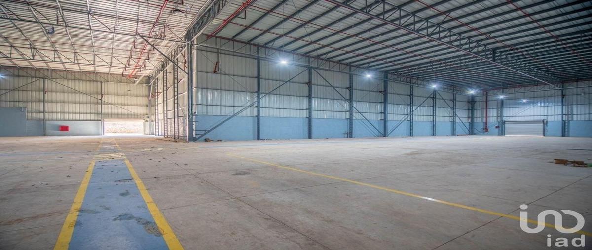 Foto de bodega en renta en carretera tala san isidro maza 109, san isidro mazatepec, tala, jalisco, 30997822 No. 04