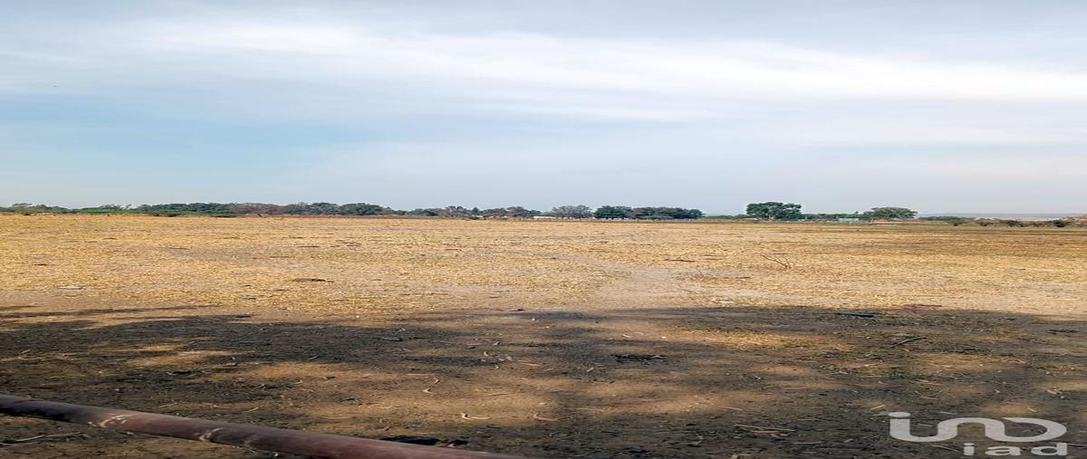 Foto de terreno industrial en venta en carretera tala -san isidro mazatepec 607, san isidro mazatepec, tala, jalisco, 30284285 No. 03