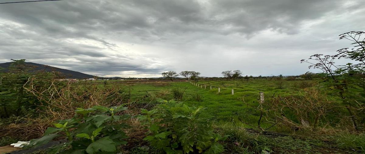 Foto de terreno comercial en venta en carretera tala - santa cruz de las flores , san isidro mazatepec, tala, jalisco, 0 No. 01