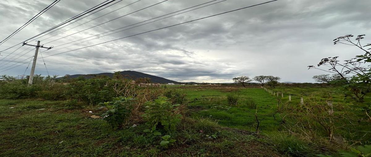 Foto de terreno comercial en venta en carretera tala - santa cruz de las flores , san isidro mazatepec, tala, jalisco, 0 No. 04