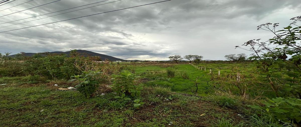 Foto de terreno comercial en venta en carretera tala - santa cruz de las flores , san isidro mazatepec, tala, jalisco, 0 No. 05