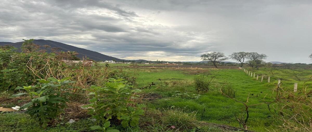 Foto de terreno industrial en venta en carretera tala - santa cruz de las flores , san isidro mazatepec, tala, jalisco, 0 No. 01