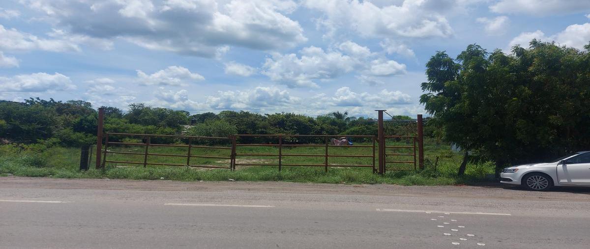 Foto de terreno comercial en carretera tampico - mante , alameda, altamira, tamaulipas, 25588827 foto 01 Foto de terreno comercial en renta en carretera tampico - mante , alameda, altamira, tamaulipas, 25588827 No. 01